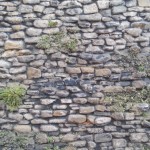 Mur en végétation.