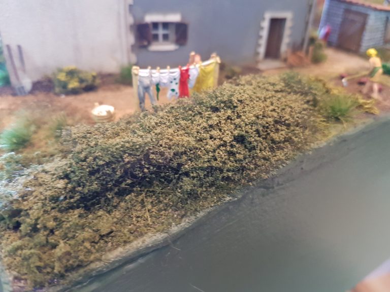 Les ronces sur le talus.